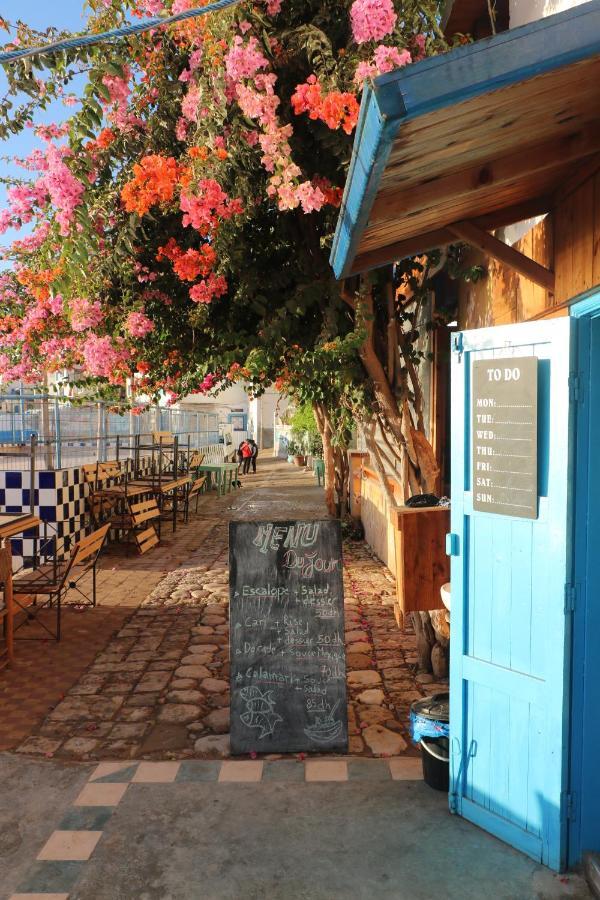 Single Fin Beach House Taghazout Ngoại thất bức ảnh